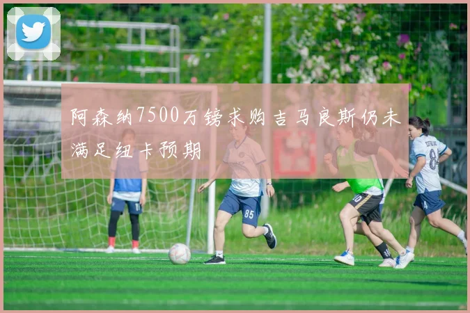 阿森纳7500万镑求购吉马良斯仍未满足纽卡预期