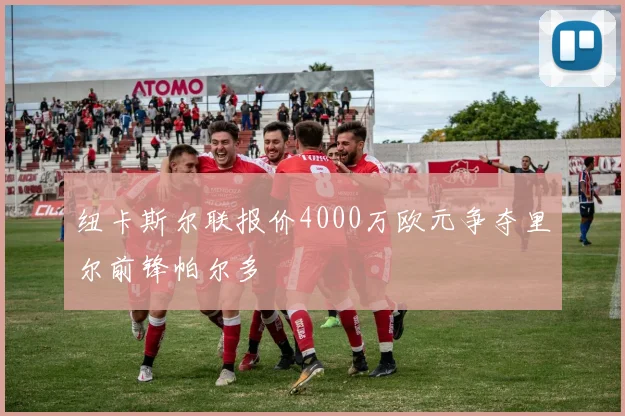 纽卡斯尔联报价4000万欧元争夺里尔前锋帕尔多
